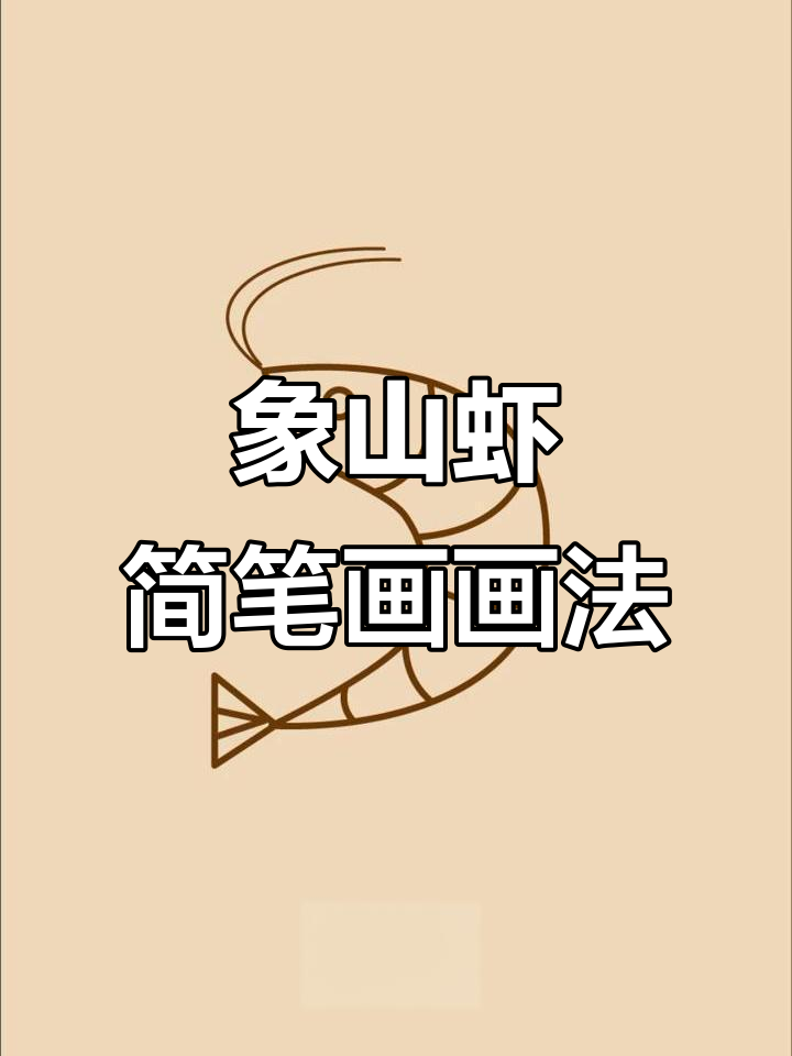 宁波象山虾的可爱简笔画,轻松上手!