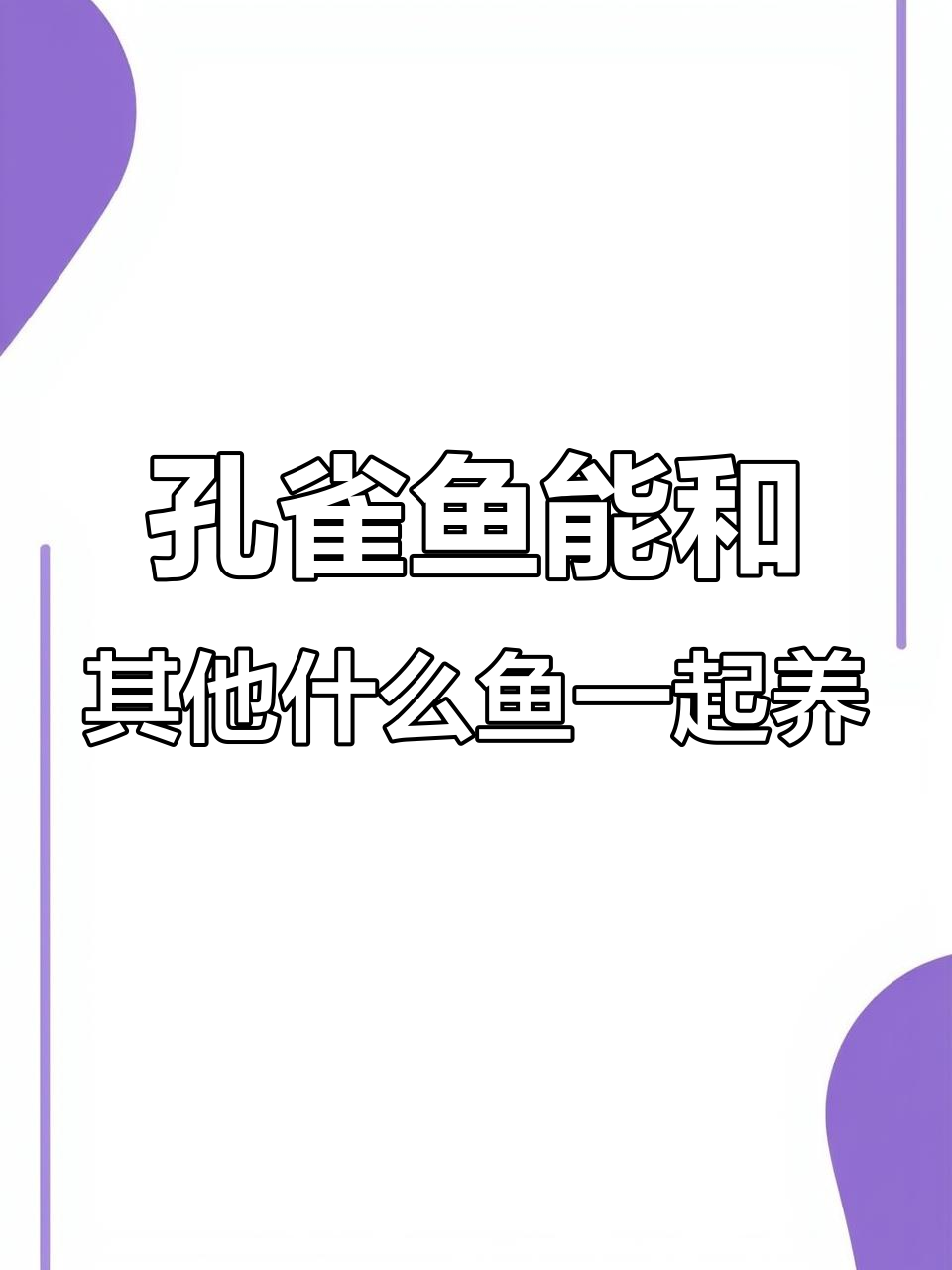 孔雀鱼能和哪些小型热带鱼混养?避免攻击性强的鱼类