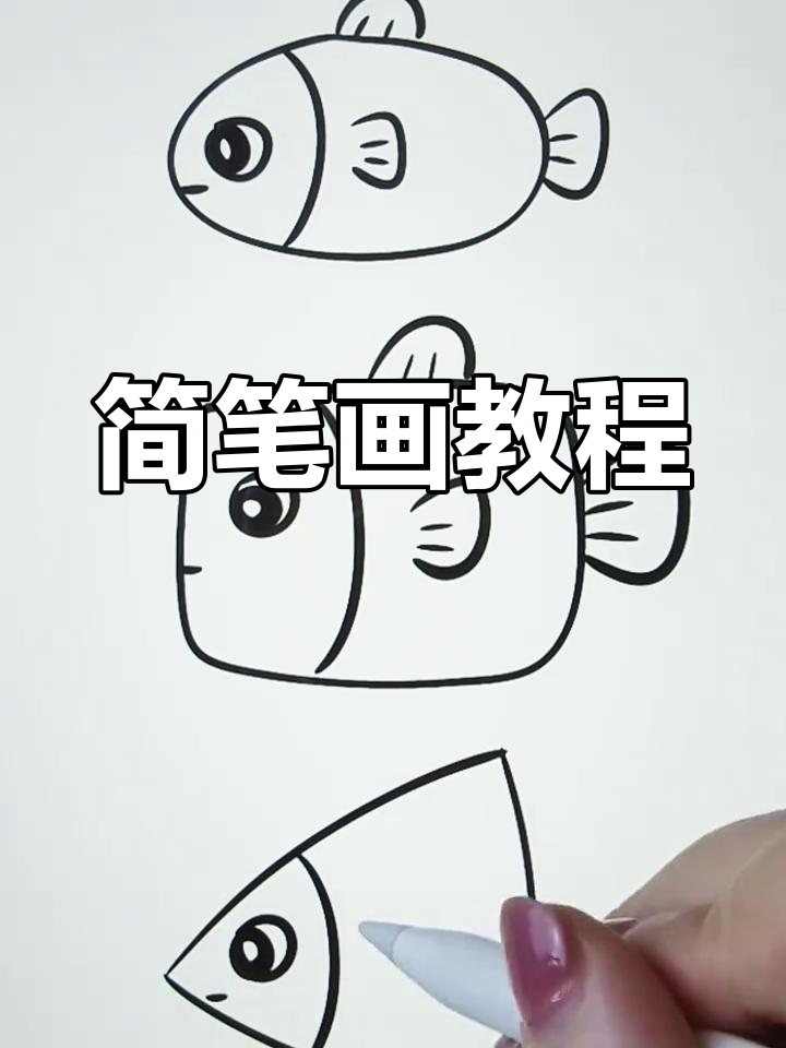 画各种形状的鱼