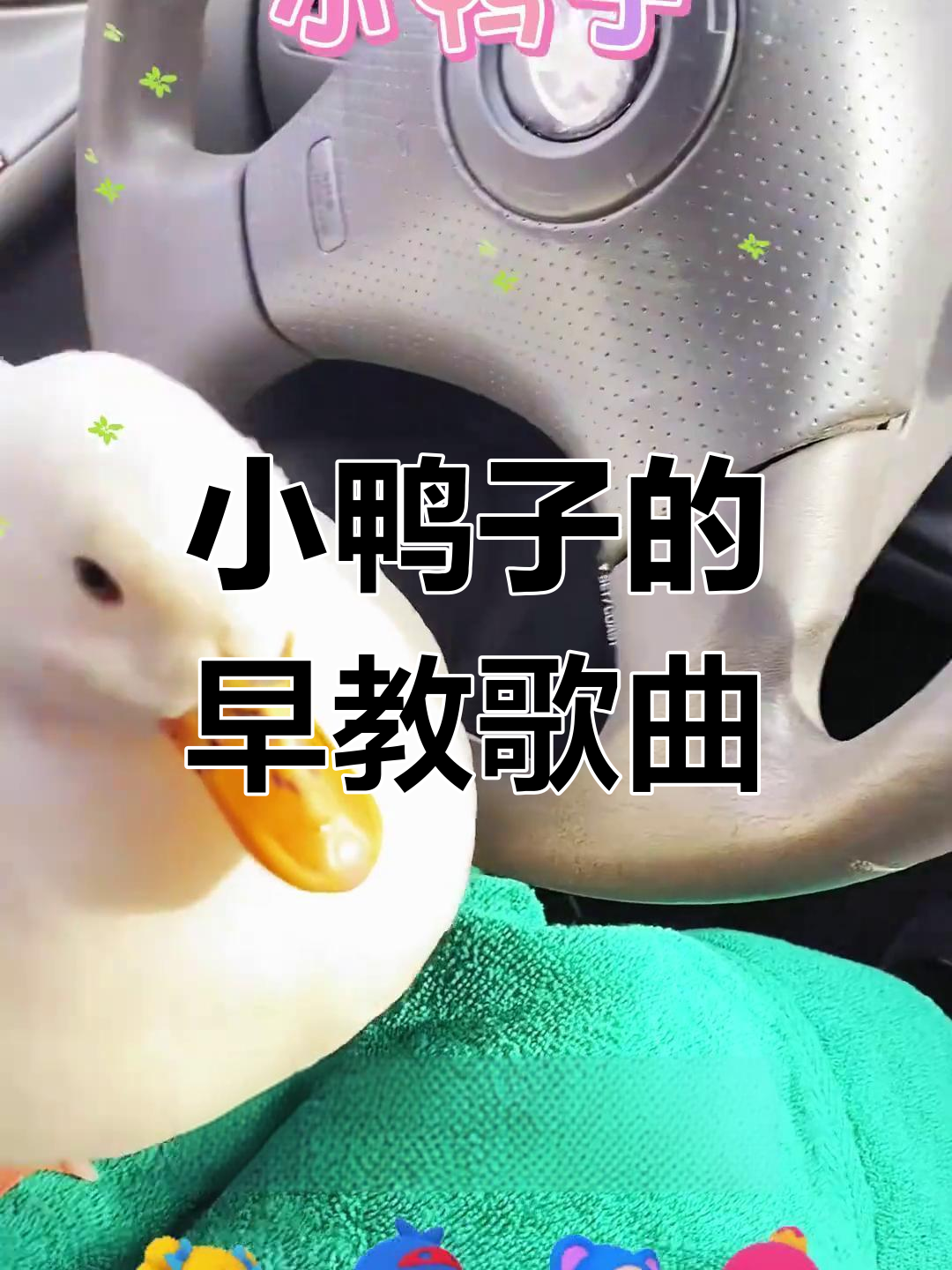 小鸭子儿歌:扁嘴巴,嘎嘎唱