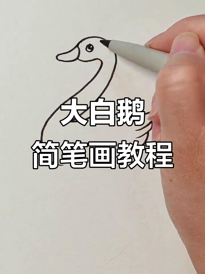 轻松学画大白鹅，简单又有趣