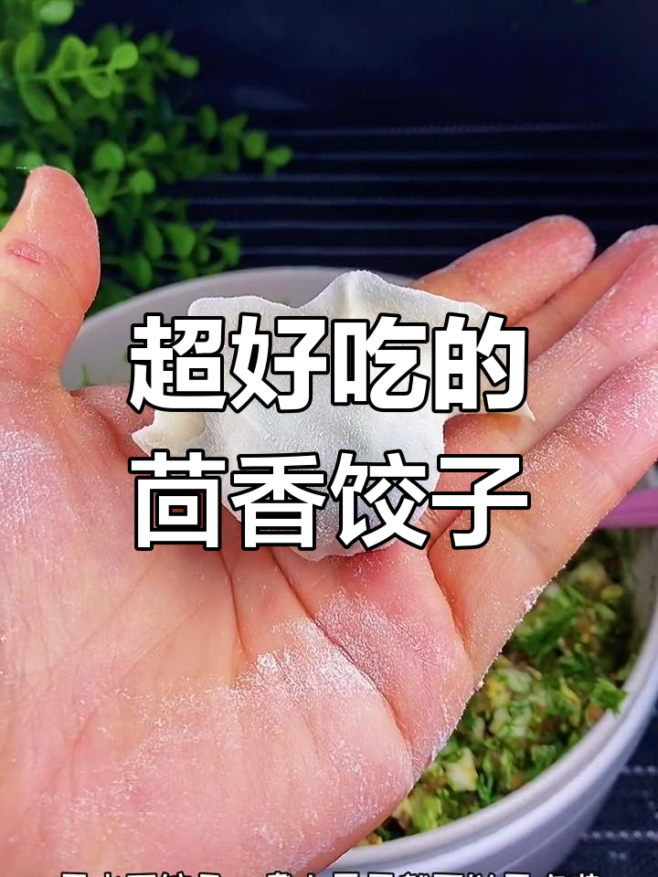 茴香饺子馅这样调,比饭店还好吃!