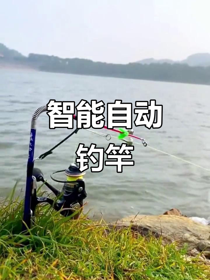自动钓鱼竿,轻松捕捉海鱼!