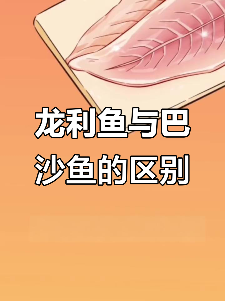 龙利鱼和巴沙鱼的真相,哪种才是真正的“无刺”美味?