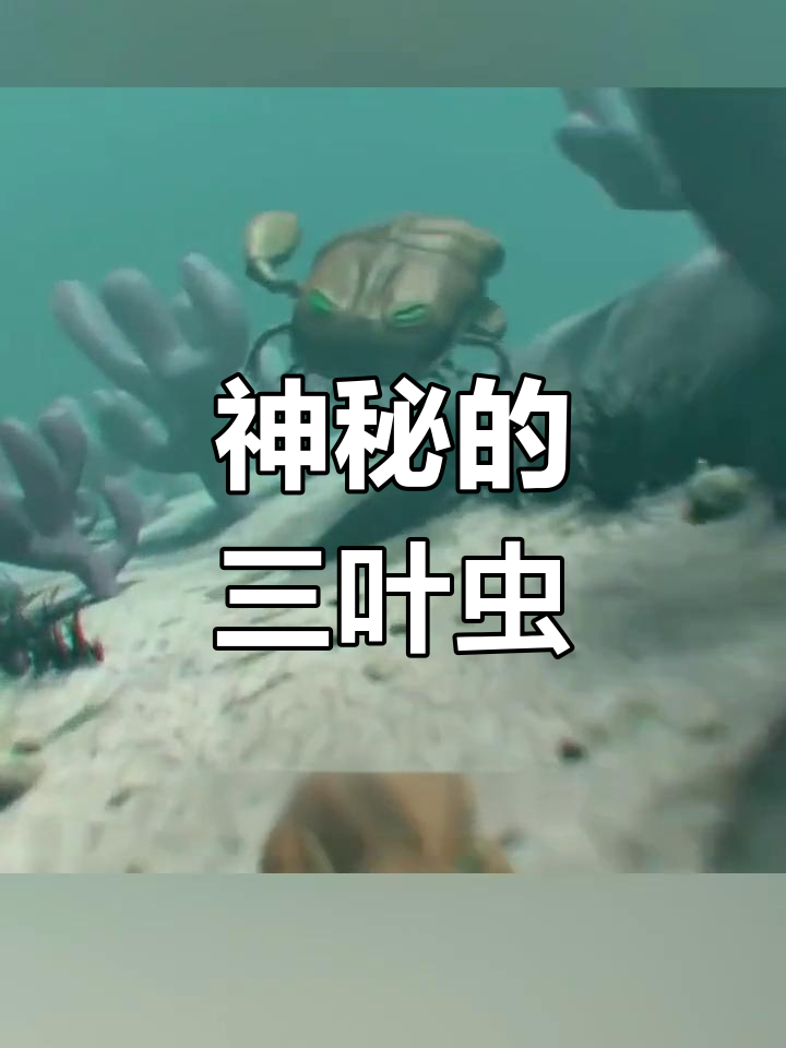 三叶虫:海洋中的奇观