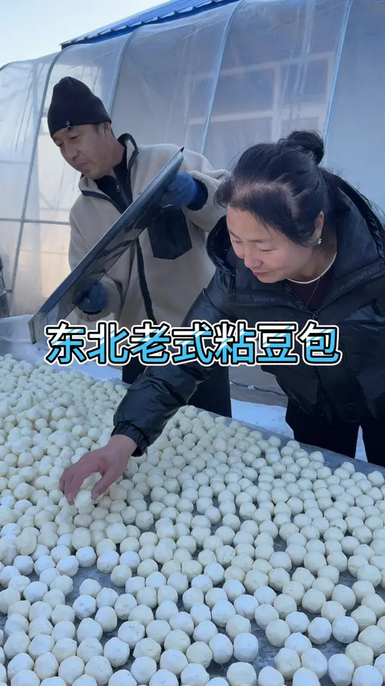 东北老式粘豆包，带你们看看我们村里包一大车东北粘豆包嘎嘎香