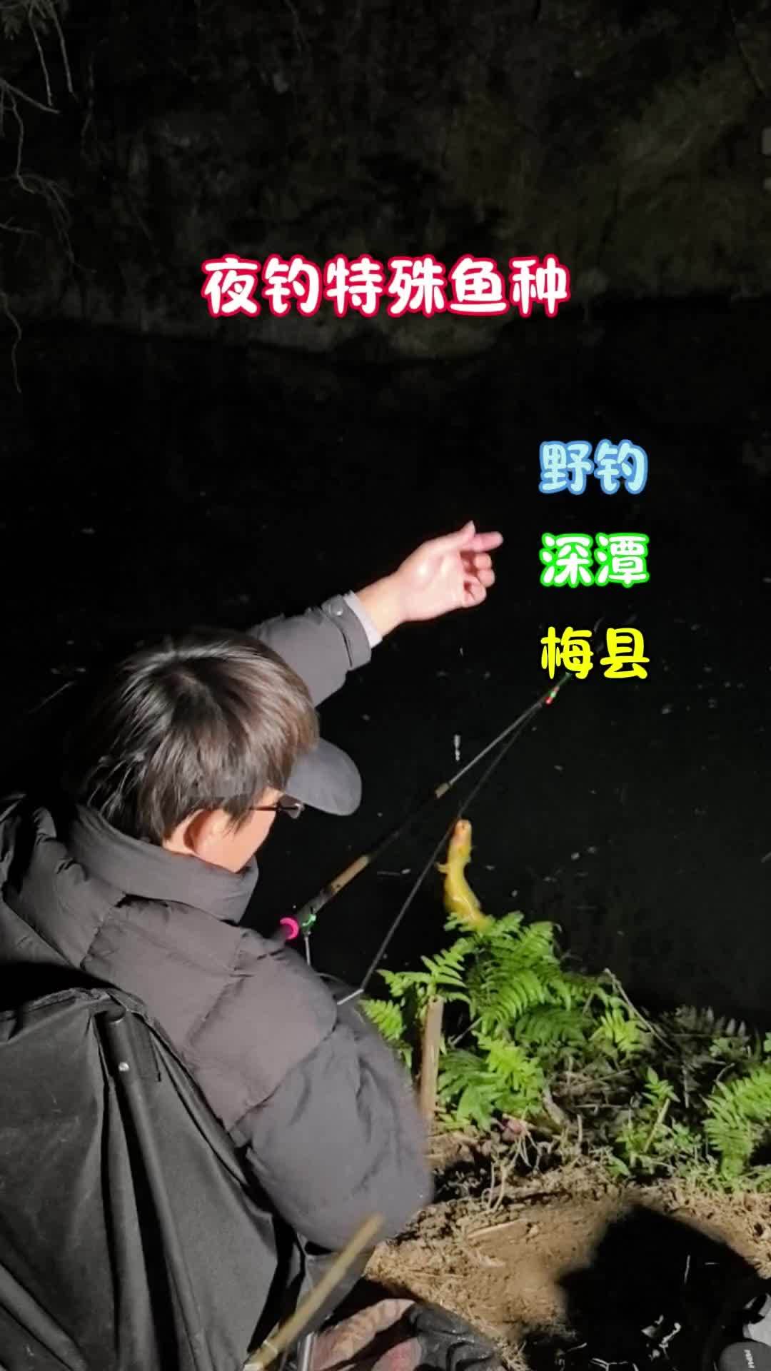 虽然大晚上很冷,但有这种鱼钓你会来吗?冬天总要出门钓一次鱼吧 创作者中心 我的钓鱼日记 钓