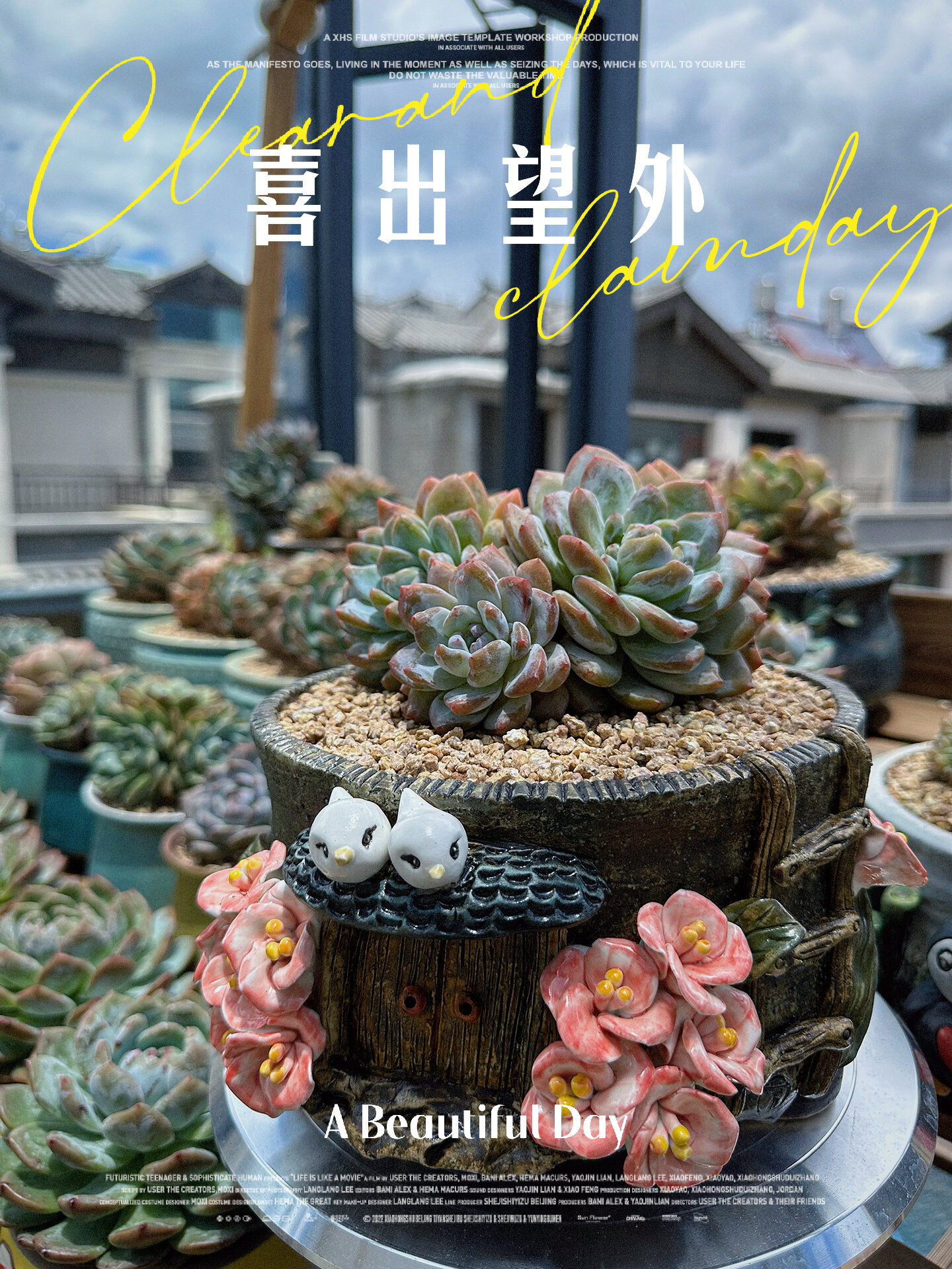 多肉景天——蒙克雪天使上盆日记 