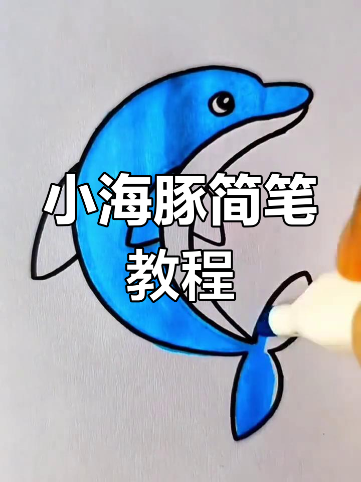 超级简单小海豚简笔画，轻松学会！