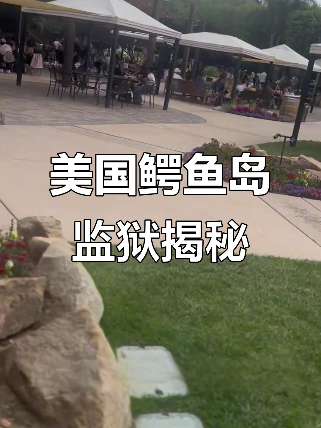 鳄鱼岛监狱:非法移民的噩梦之地,真有逃不出去的可能