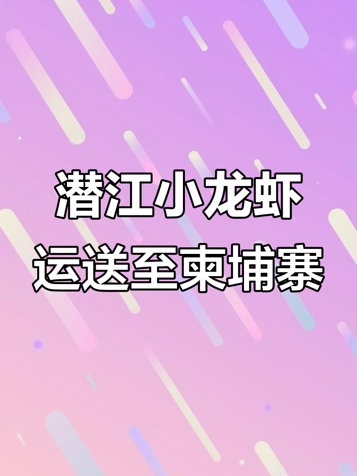潜江龙虾种苗发往柬埔寨,虾子大小不一,软块清晰可见