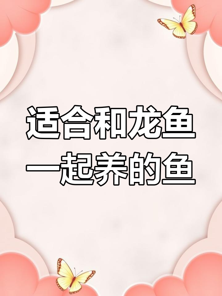 龙鱼混养最佳选择:这些鱼类最适合与龙鱼共处