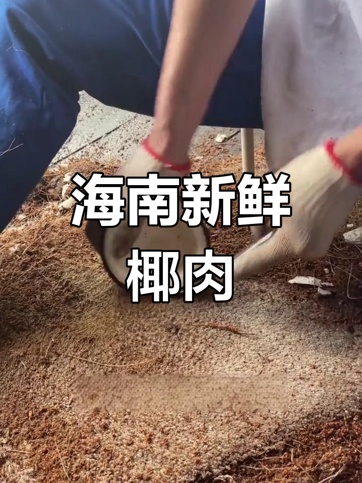 海南椰子肉,鲜嫩如布丁,汤汁渗透更美味