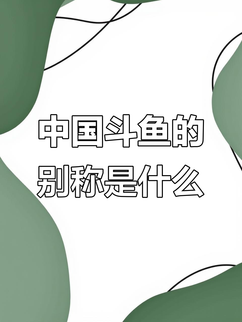 你们那里叫它什么?中国斗鱼别名大揭秘