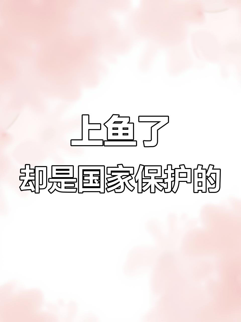 柳州发现珍稀鱼类,但竟是保护动物!