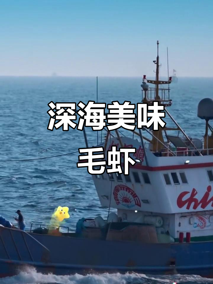 毛虾:海洋鲜味背后的秘密,餐桌上的“隐形英雄”