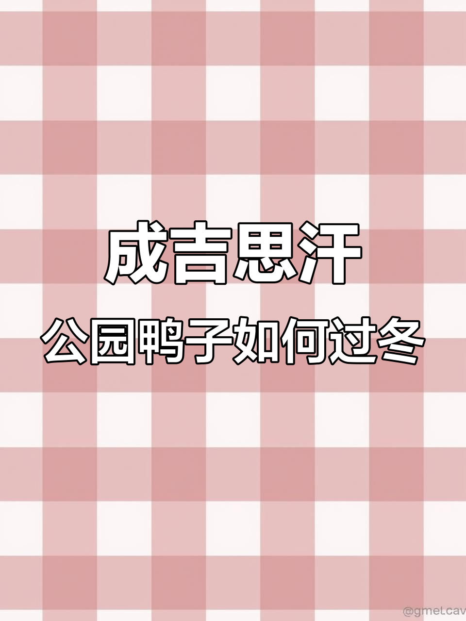 呼伦贝尔成吉思汗公园的野鸭过冬难题,有人喂食能行吗?