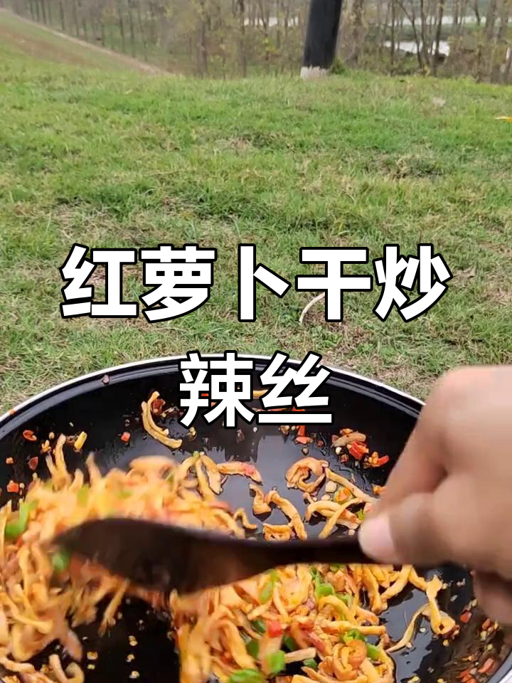洪湖萝卜干炒辣椒,简单又美味