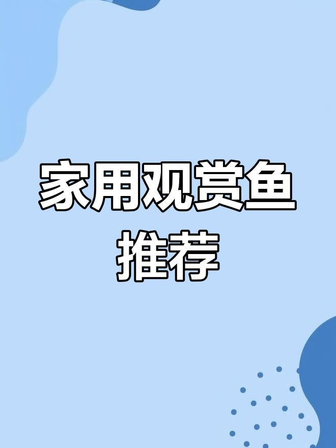 适合家庭养的观赏鱼推荐