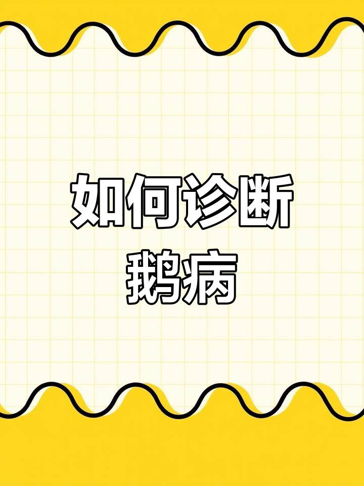 快速判断鹅病,养鹅不求人