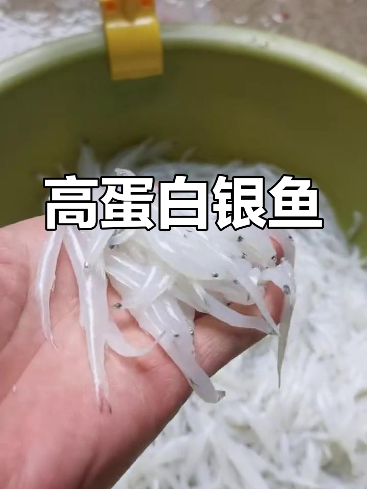银鱼:高蛋白天然补品,营养价值超高