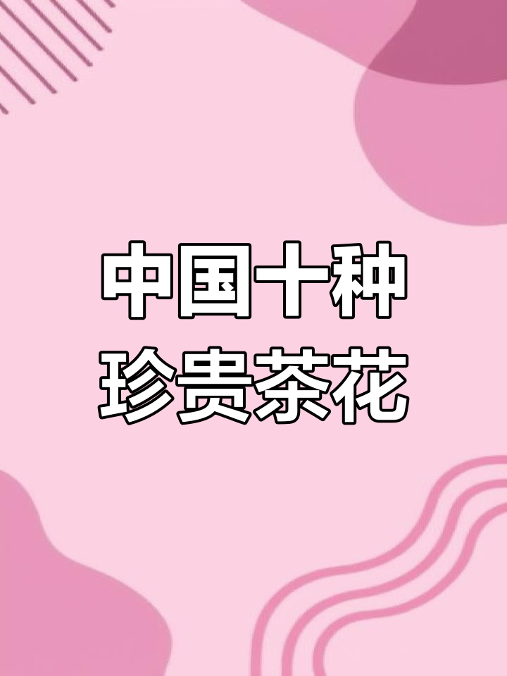 探秘中国十大名贵山茶花,五种以上就算专家