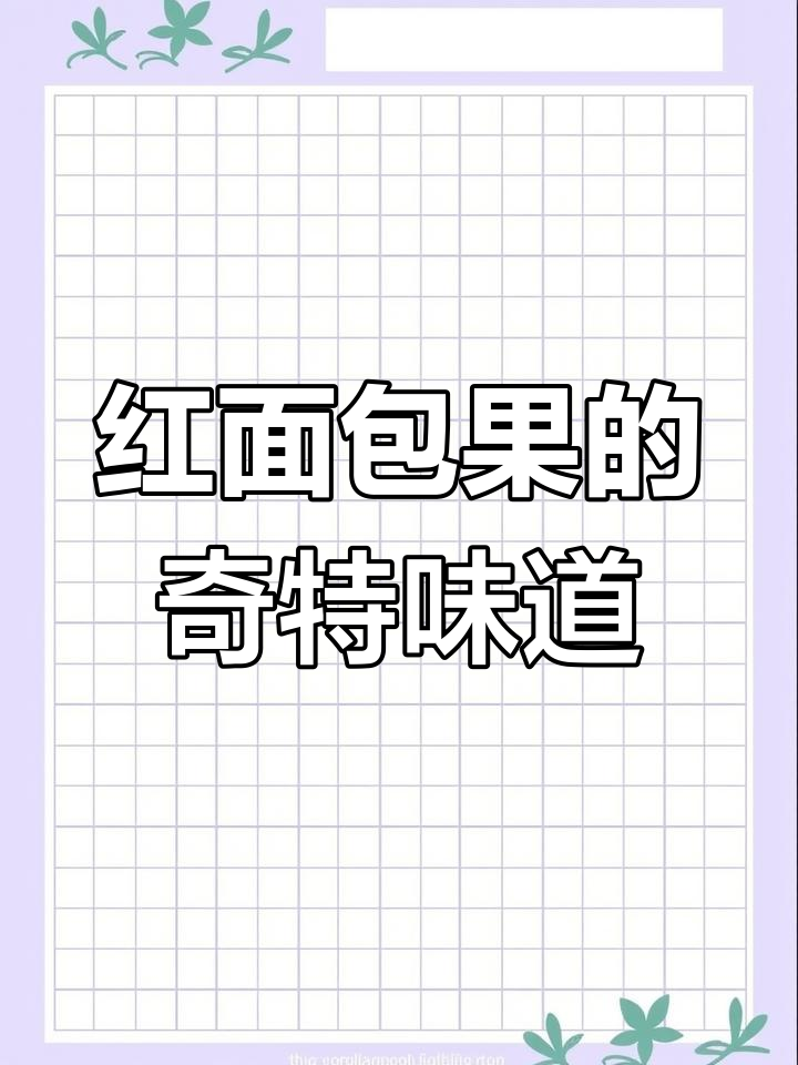 非洲红面包果:长得像面包,却酸得让人无法下嘴