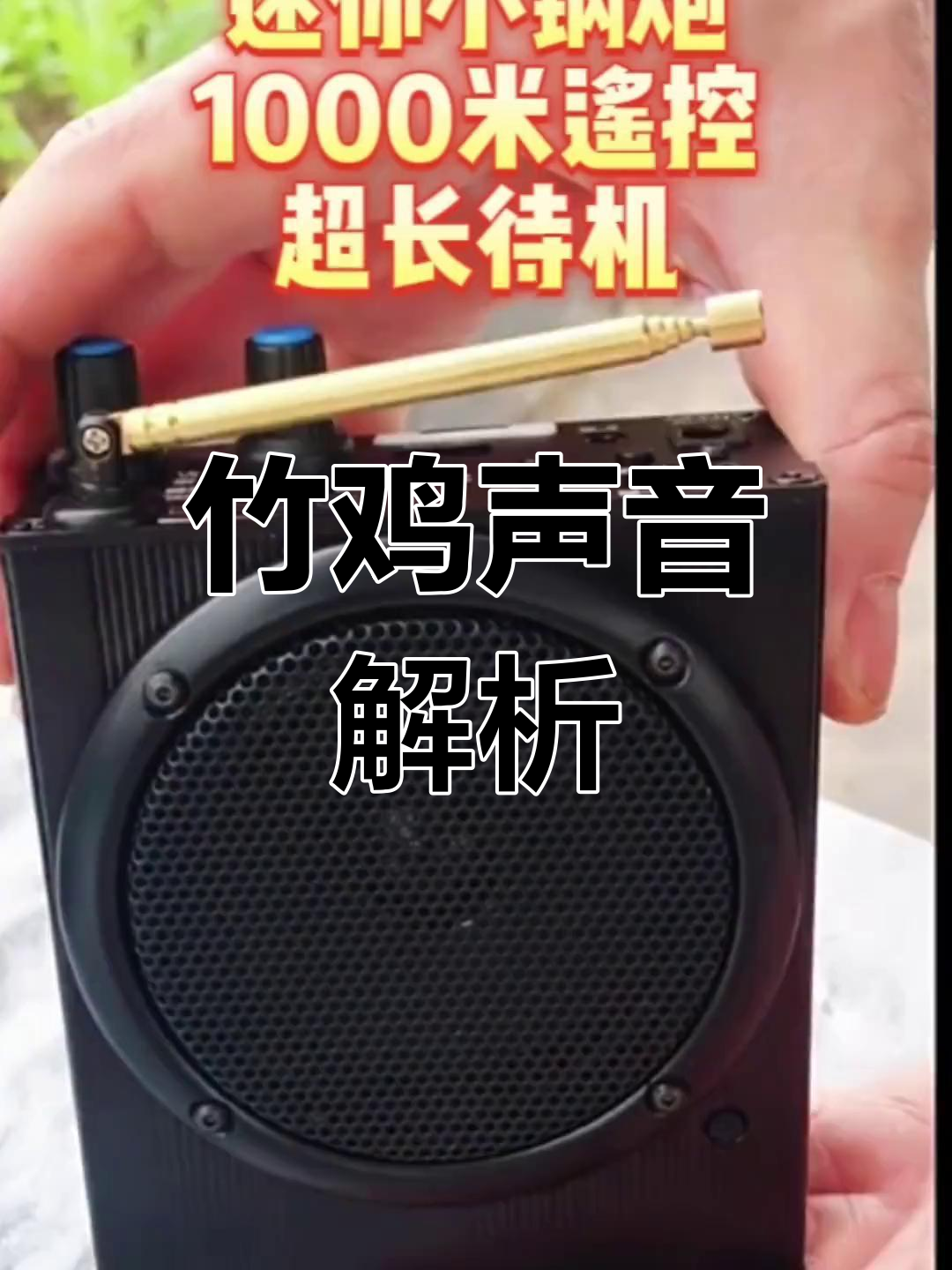 高清竹鸡叫声与科普