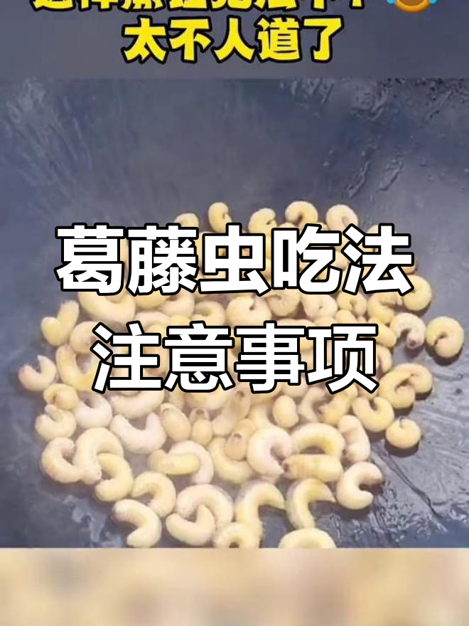 葛藤虫的食用禁忌与功效