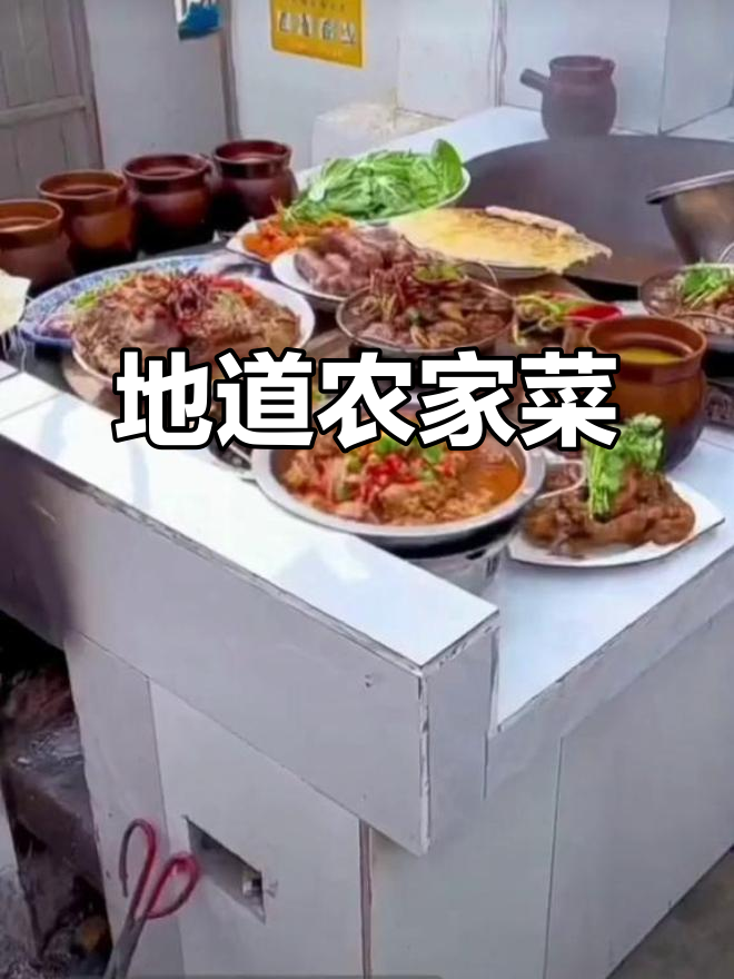 农家美食大揭秘:土鸡土鸭吃到停不下来