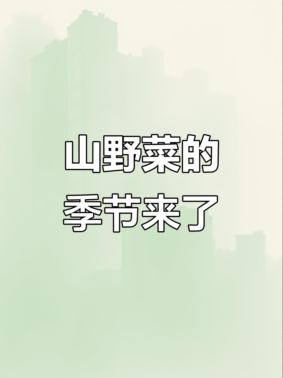 东北山野菜大丰收,猴腿菜特别受欢迎