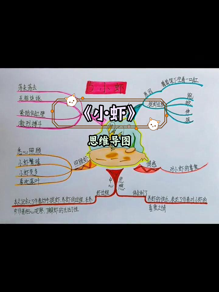 三年级语文《小虾》思维导图解析