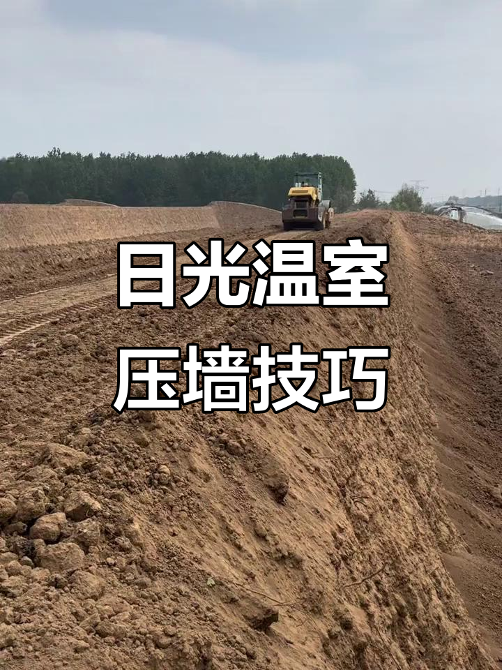 蔬菜大棚建设：土墙体日光温室，打造稳固高效设施