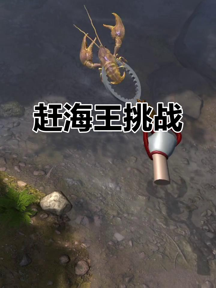 赶海抓蓝头鱼,女生却打零分?男生们快来帮忙!