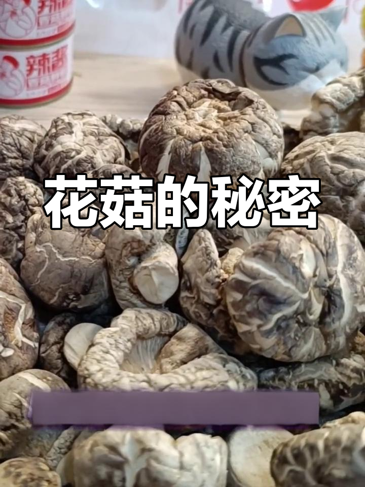 随州花菇:香菇中的珍品,如何形成的独特美味