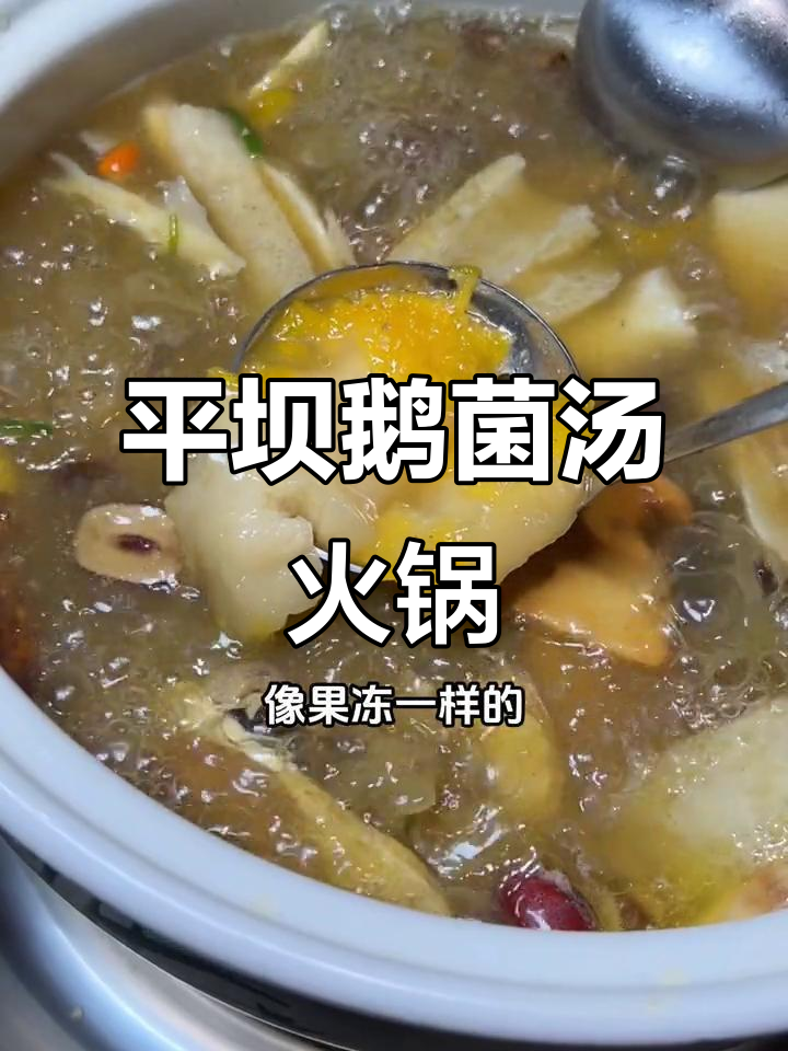 平坝鹅菌汤火锅,滋补养生必试新店!