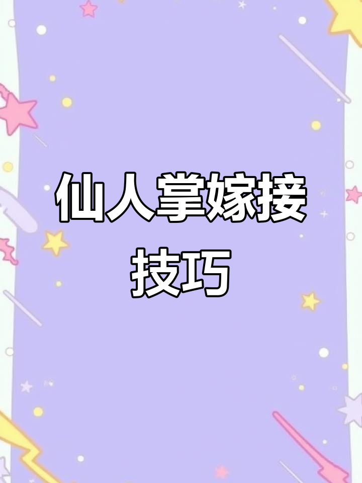 五指仙人掌与仙人球嫁接,打造高观赏价值盆景