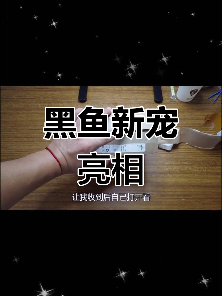 神秘黑鱼口粮竟是超大杂交,辣椒蟹失踪