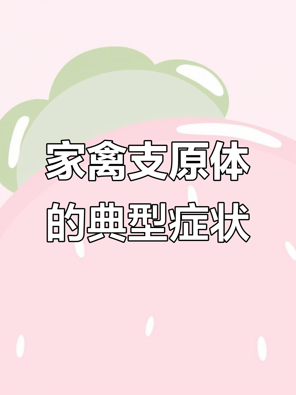 鸡眼肿、流泪喘气,支原体感染症状全解析