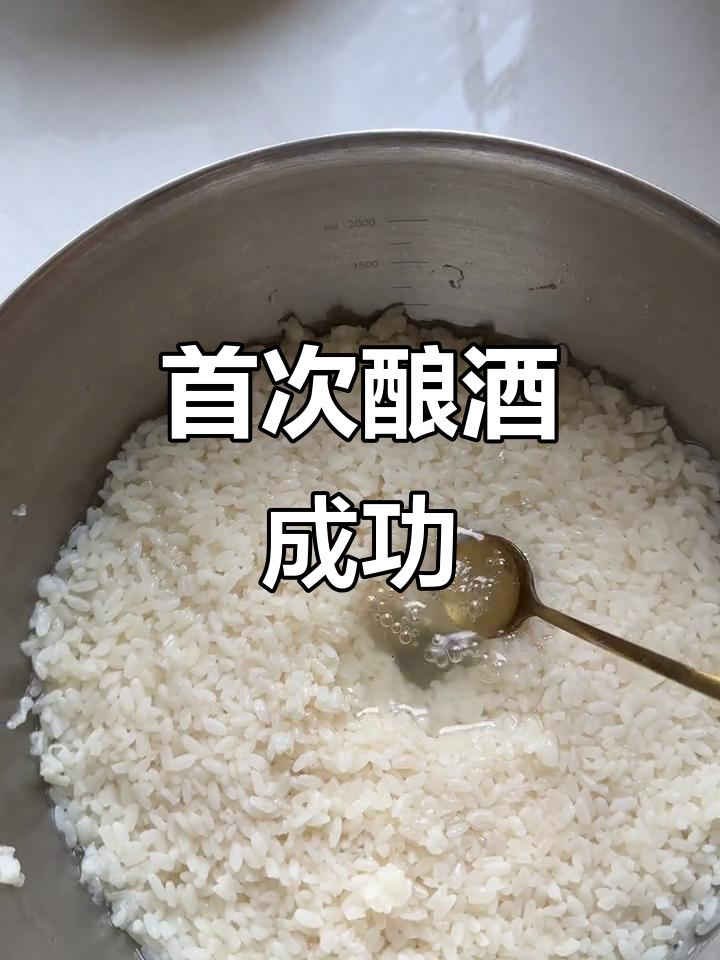 第一次成功酿糯米酒,红豆沙超赞,黑豆也让人欲罢不能!