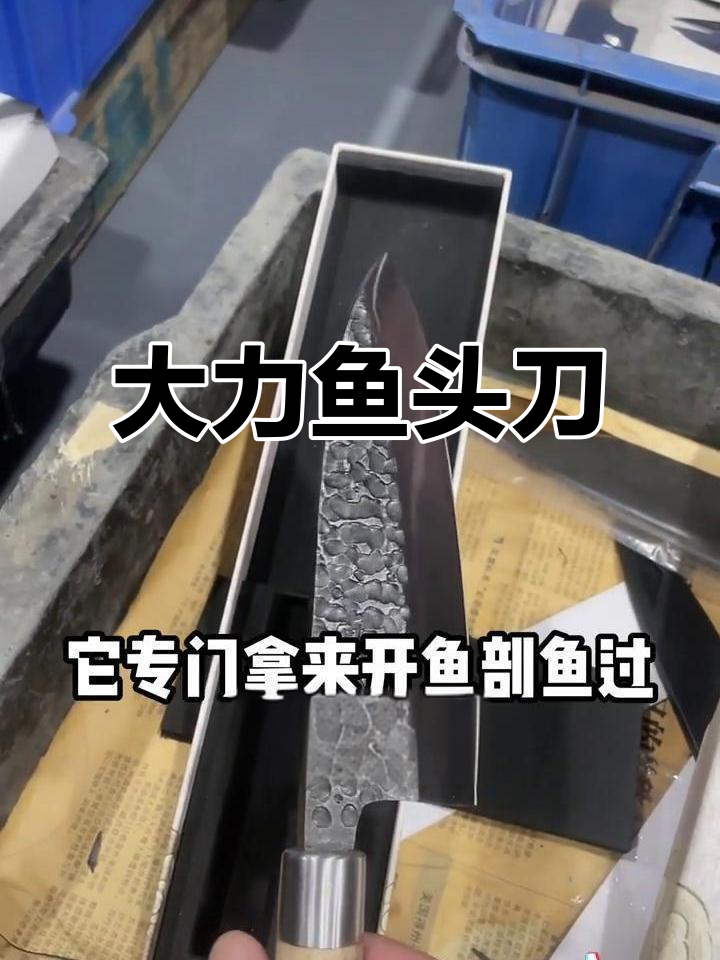 冷门鱼头刀,轻松开大鱼!