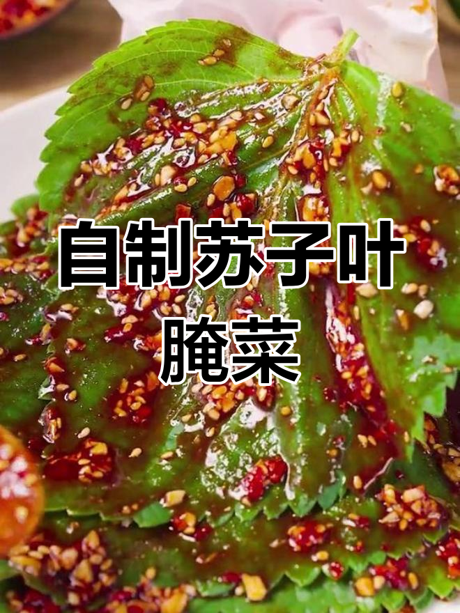 传统朝鲜族苏子叶腌制法,轻松学做泡菜