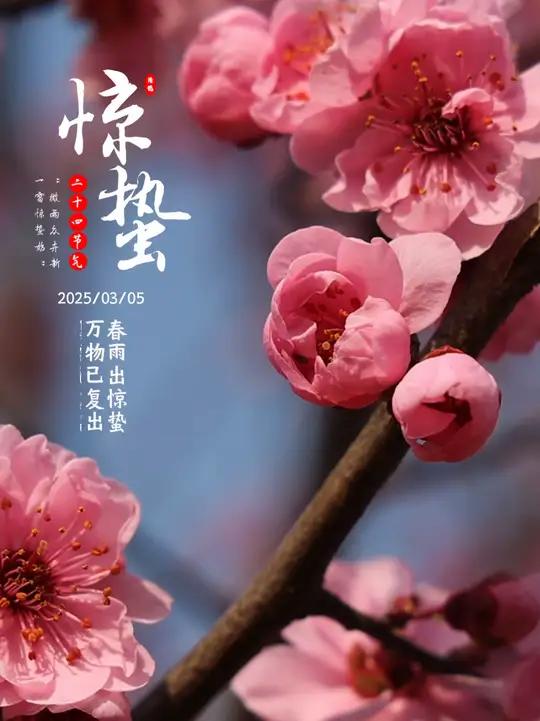 今日惊蛰,春天的第三个节气,也是一年中最响亮的节气。春雷乍现,雨水渐多,一切蛰伏的美好正在