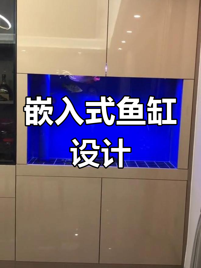 酒柜与鱼缸完美融合,精致设计费尽心思