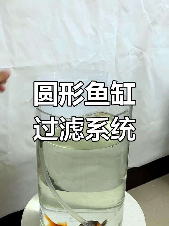 鱼缸过滤器安装全攻略,水质净化与增氧一步到位