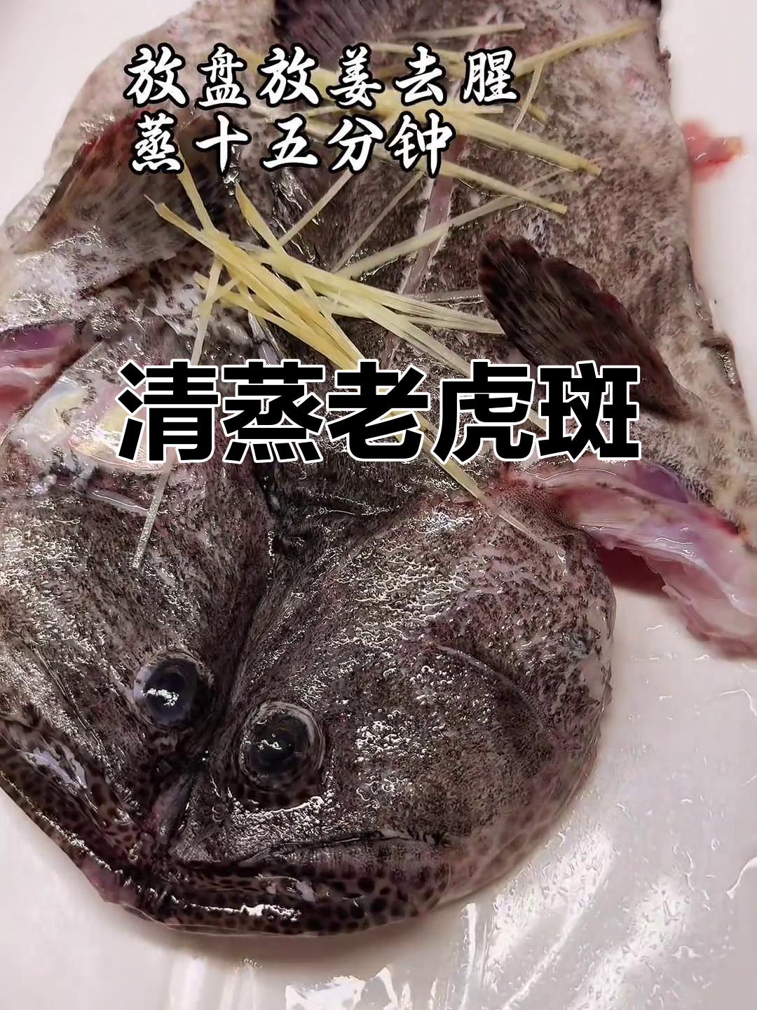 老虎斑清蒸,嫩滑入味,筷子都夹不住!