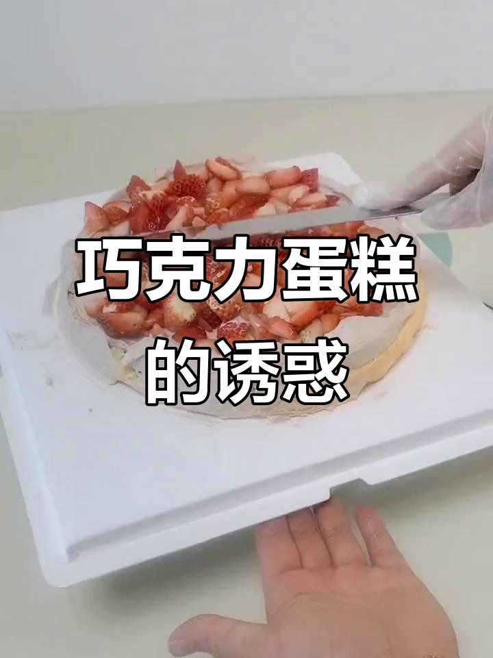 10寸巧克力蛋糕，奶油与可可完美融合，吃上一口超幸福！