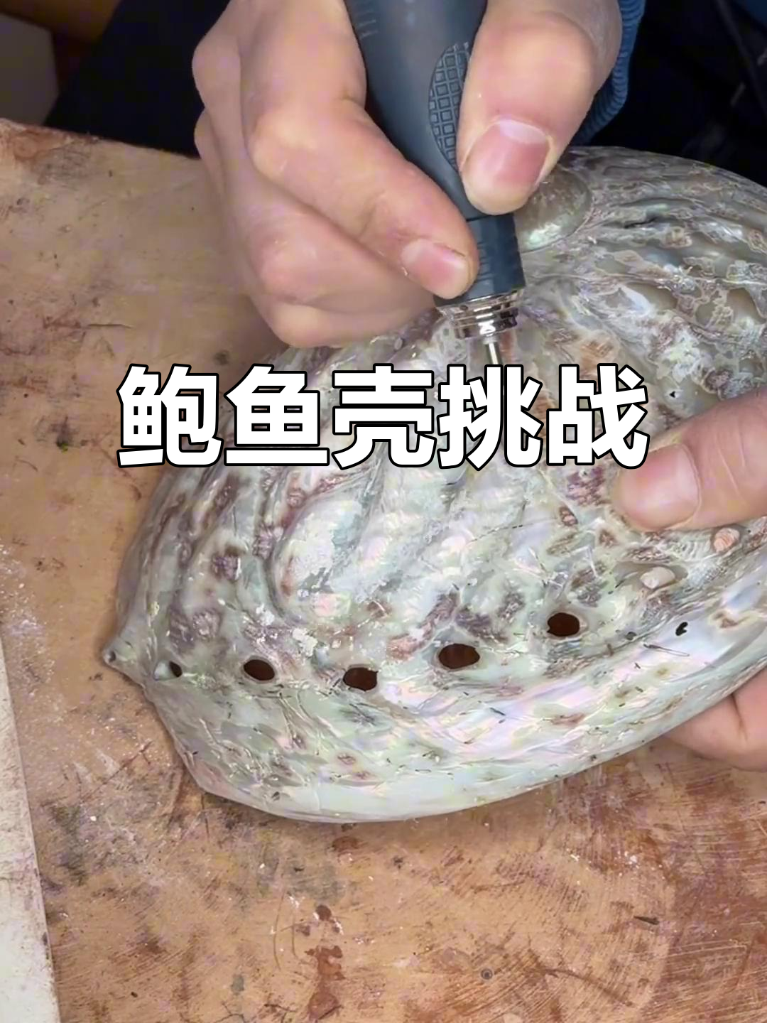 粉丝送来超大鲍鱼壳,打磨抛光让我头疼不已!