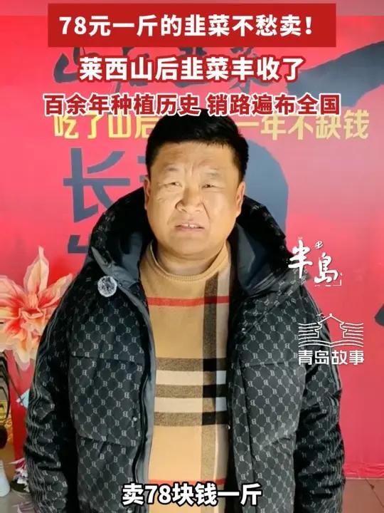 78元一斤不愁卖！百余年种植历史的莱西山后韭菜丰收了（半岛全媒体记者 孙桂东 林靓）