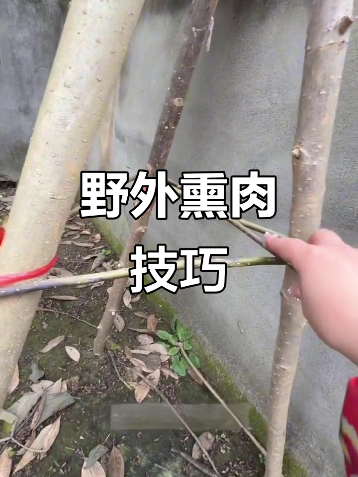 野外生存技能:如何搭建熏肉架与保存肉类